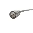 Untitled design (25).webp